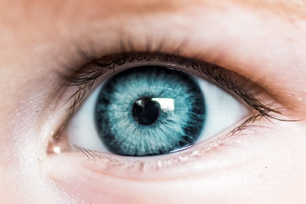 Žuta mrlja (makula oka)